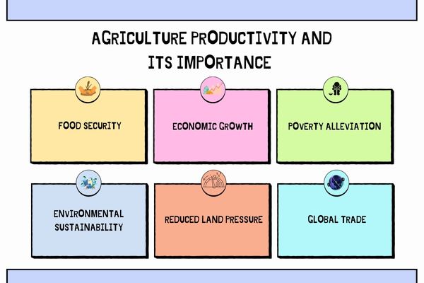 agriculture productivity and Its importance 