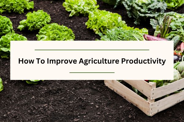 how to improve agriculture productivity