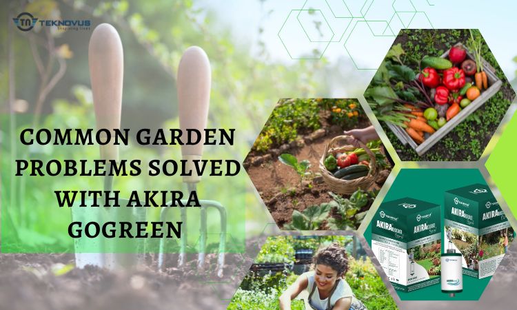 common-garden-problems-solved-with-akira-GoGreen